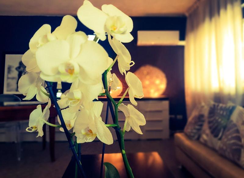 Hotel Caraibi Милано Мартима Екстериор снимка